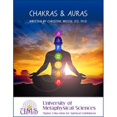 image Chakras and Auras by Christine Breese